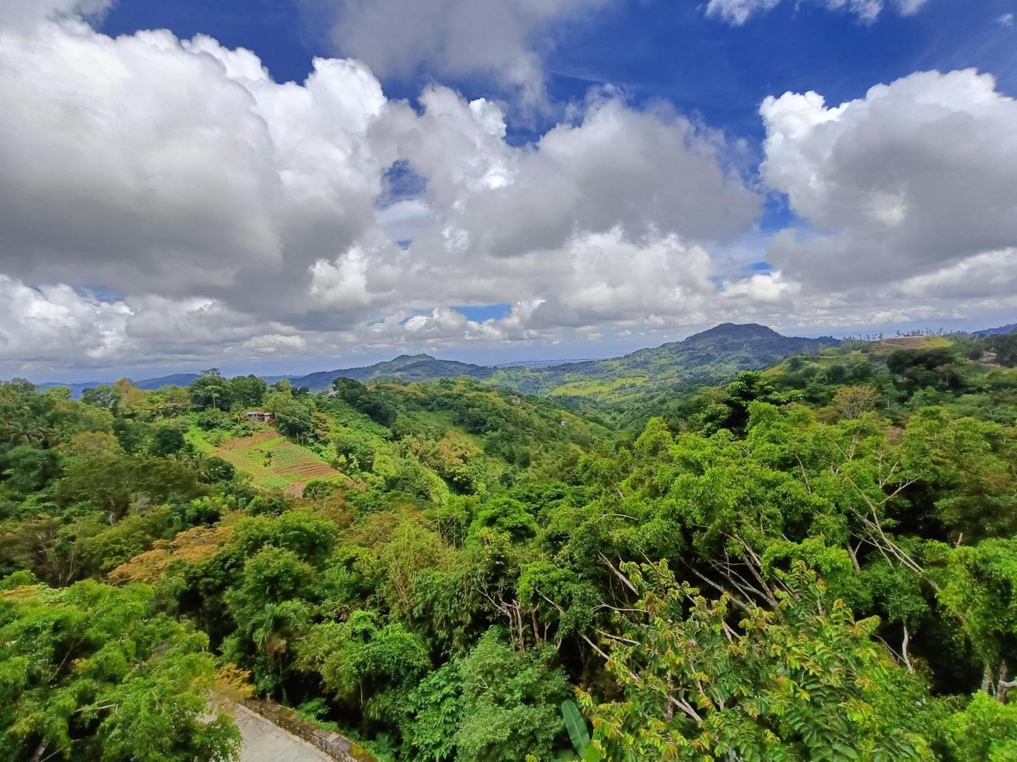 Mist Mountain Resort Powered By Cocotel Cebu Exterior photo